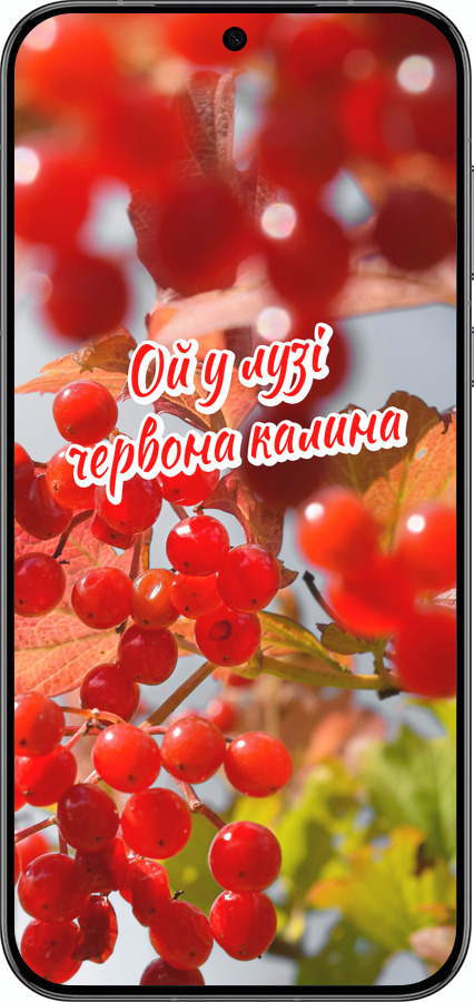 Силиконовый чехол Калина для Huawei Pura 70 PRO - 5454u-3700 изображение 
