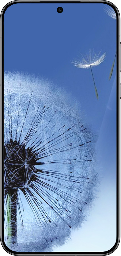 Силіконовий чехол Кульбабка для Huawei Pura 70 PRO - 6005u-3700 изображение 