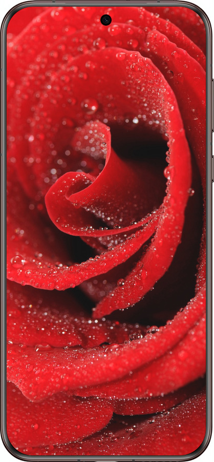 Силиконовый чехол Красная роза для Huawei Pura 70 Ultra - 529u-3704 изображение 