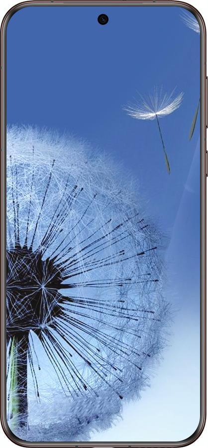 Силіконовий чехол Кульбабка для Huawei Pura 70 Ultra - 6005u-3704 изображение 