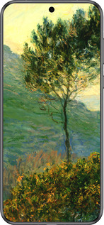 Силиконовый чехол Клод Моне для Huawei Pura 70 - 1193u-3703 изображение 