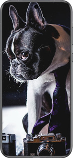 Силиконовый чехол Бульдог-фотограф для Huawei Pura 70 - 142u-3703 изображение 