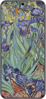 Силиконовый чехол Винсент Ван Гог. Ирисы для Huawei Pura 70 - 161u-3703 изображение 