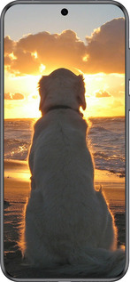 Силиконовый чехол Закат и собака для Huawei Pura 70 - 3966u-3703 изображение 