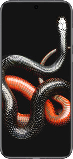 Силиконовый чехол Красно-черная змея на черном фоне для Huawei Pura 70 - 4063u-3703 изображение 