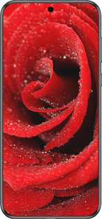 Силиконовый чехол Красная роза для Huawei Pura 70 - 529u-3703 изображение 