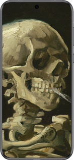 Силиконовый чехол Винсент Ван Гог. Череп для Huawei Pura 70 - 5544u-3703 изображение 