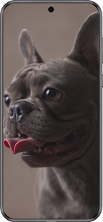 Силіконовий чехол Милий бульдог для Huawei Pura 70 - 5546u-3703 изображение 