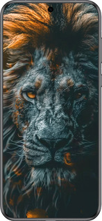 Силиконовый чехол Лев в сумерках для Huawei Pura 70 - 6154u-3703 изображение 