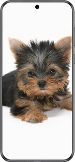 Силиконовый чехол Щенок йоркширского терьера для Huawei Pura 70 - 931u-3703 изображение 