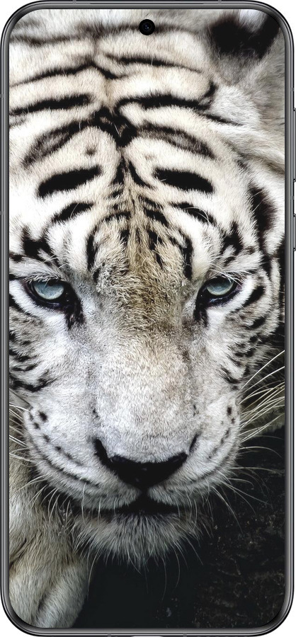 Силиконовый чехол Грустный белый тигр для Huawei Pura 70 - 106u-3703 изображение 