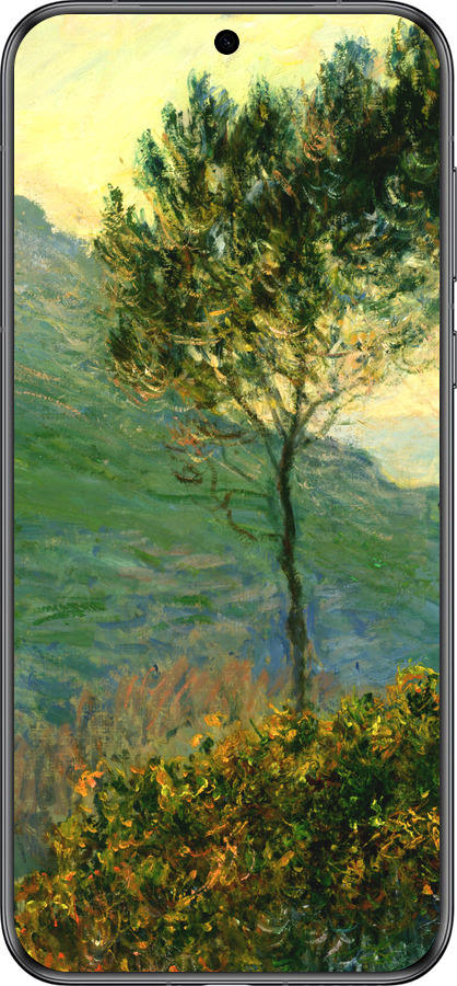 Силиконовый чехол Клод Моне для Huawei Pura 70 - 1193u-3703 изображение 