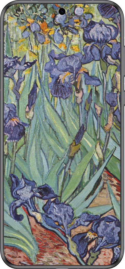 Силиконовый чехол Винсент Ван Гог. Ирисы для Huawei Pura 70 - 161u-3703 изображение 