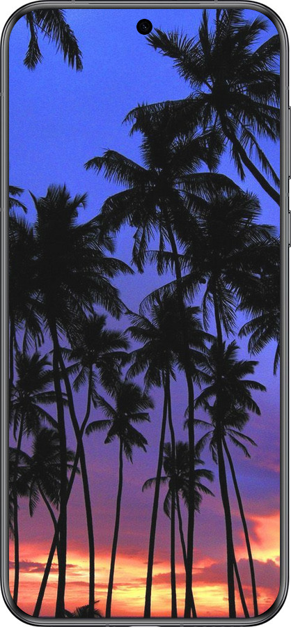 Силиконовый чехол Пальмы для Huawei Pura 70 - 4324u-3703 изображение 