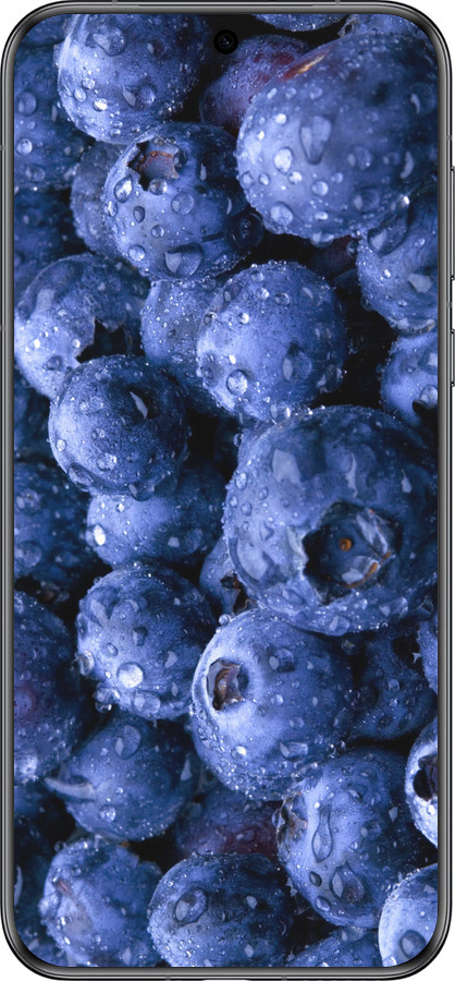 Силиконовый чехол Голубика для Huawei Pura 70 - 4459u-3703 изображение 