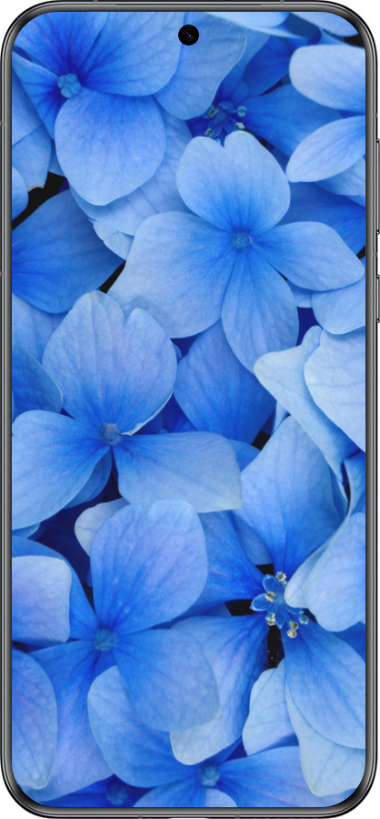 Силиконовый чехол Синие цветы для Huawei Pura 70 - 526u-3703 изображение 