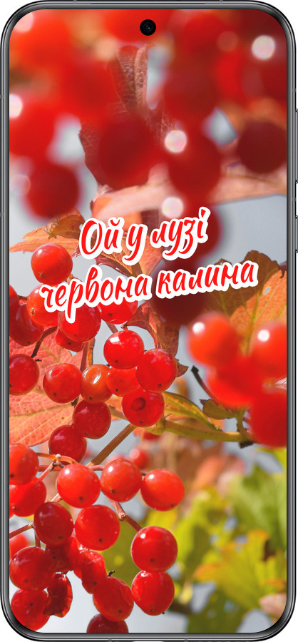 Силиконовый чехол Калина для Huawei Pura 70 - 5454u-3703 изображение 