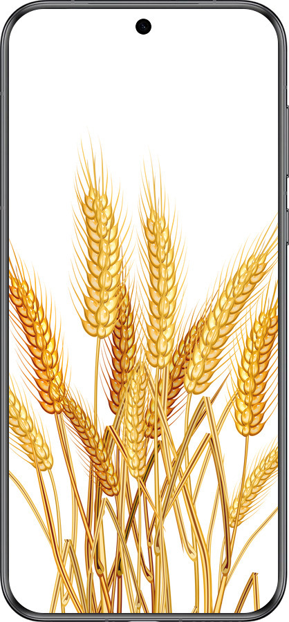 Силиконовый чехол Колоски пшеници для Huawei Pura 70 - 5866u-3703 изображение 