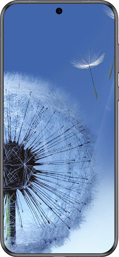 Силиконовый чехол Одуванчик для Huawei Pura 70 - 6005u-3703 изображение 