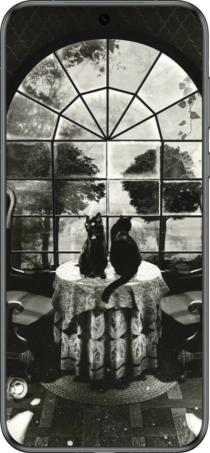 Силиконовый чехол Череп и коты для Huawei Pura 70 - 6432u-3703 изображение 