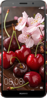 3D пластиковий матовий чехол Вишня у шоколаді для Huawei Honor 7A - 6698m-1805 изображение 