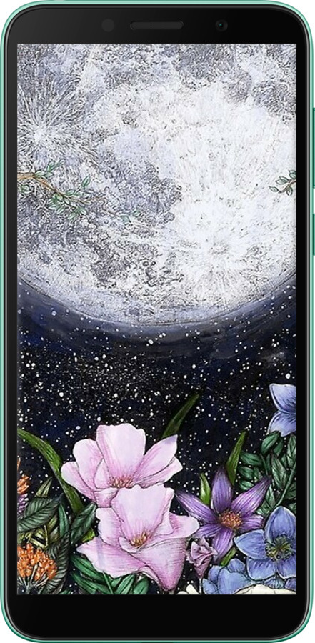 TPU чехол Полночь в саду для Huawei Y5p - 6259b-1936 изображение 