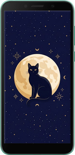 2D пластиковый чехол Cute Cat Celestial/Witchy для Huawei Y5p - 6787t-1936 изображение 