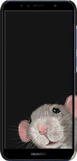 3D пластиковий матовий чехол The Peeking Rat для Huawei Y6 2018 - 6442m-1637 изображение 