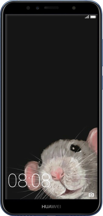 2D пластиковый чехол The Peeking Rat для Huawei Y6 2018 - 6442t-1637 изображение 