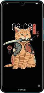 3D пластиковый матовый чехол Catana для Huawei Y6 2019 - 6262m-1666 изображение 