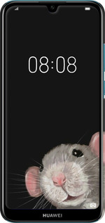 3D пластиковый матовый чехол The Peeking Rat для Huawei Y6 2019 - 6442m-1666 изображение 