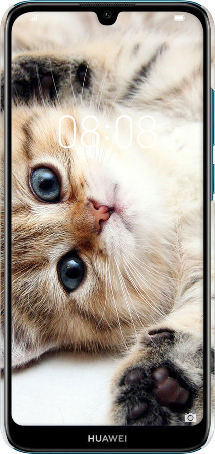 3D пластиковий матовий чехол Котик для Huawei Y6 2019 - 6024m-1666 изображение 