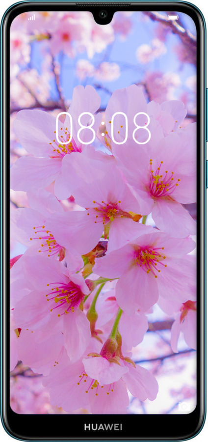 2D пластиковый чехол Сакура для Huawei Y6 2019 - 6029t-1666 изображение 