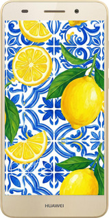 2D пластиковый чехол Grocery Girl Italian Summer для Huawei Y6 II - 6766t-338 изображение 