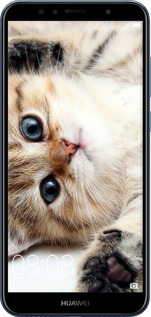 TPU чехол Котик для Huawei Y6 Prime 2018 - 6024b-1441 изображение 