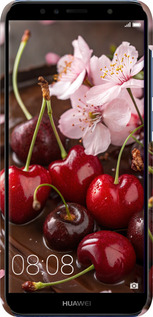 3D пластиковый матовый чехол Вишня в шоколаде для Huawei Y6 Prime 2018 - 6698m-1441 изображение 
