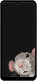 2D пластиковий чехол The Peeking Rat для Huawei Y6p - 6442t-1952 изображение 