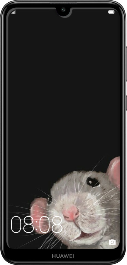 2D пластиковый чехол The Peeking Rat для Huawei Y7 2019 - 6442t-1638 изображение 