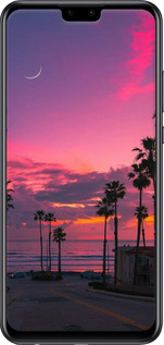 Силіконовий чехол Пальми для Huawei P Smart 2020 - 5873u-2060 изображение 