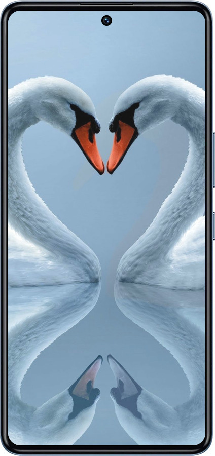 Силіконовий чехол Лебеді для Infinix GT 10 pro - 6007u-3172 изображение 