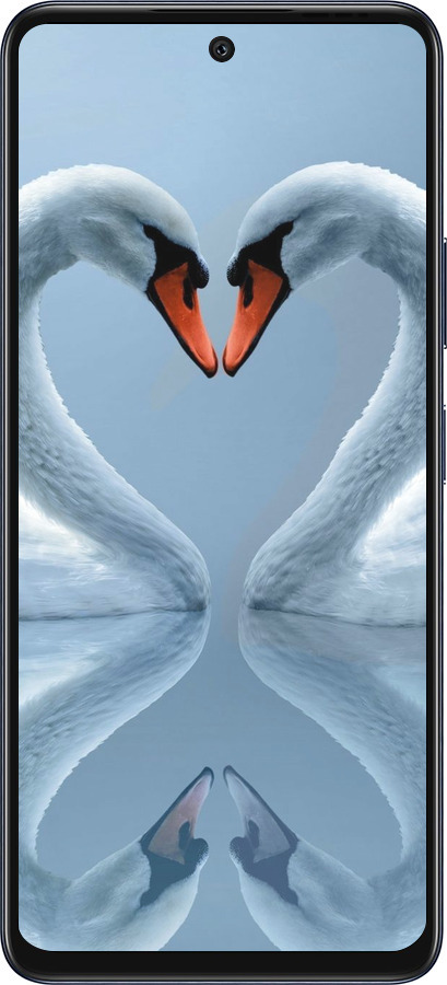 Силіконовий чехол Лебеді для Infinix Hot 50 4G - 6007u-3820 изображение 