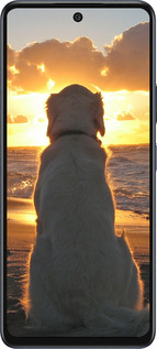 Силиконовый чехол Закат и собака для Infinix Hot 50 5G - 3966u-3795 изображение 