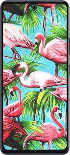 Силиконовый чехол Tropical background для Infinix Hot 50 5G - 4016u-3795 изображение 