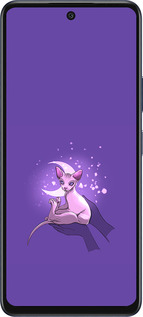 Силиконовый чехол Кот2 для Infinix Hot 50 5G - 4676u-3795 изображение 