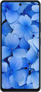 Силиконовый чехол Синие цветы для Infinix Hot 50 5G - 526u-3795 изображение 