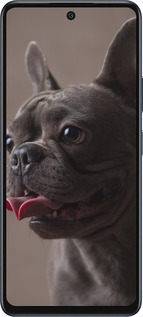 Силиконовый чехол Милый бульдог для Infinix Hot 50 5G - 5546u-3795 изображение 