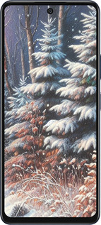 Силиконовый чехол Зимний пейзаж для Infinix Hot 50 5G - 5814u-3795 изображение 