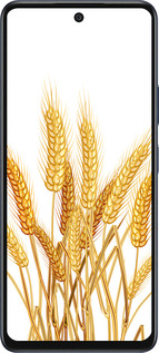 Силиконовый чехол Колоски пшеници для Infinix Hot 50 5G - 5866u-3795 изображение 