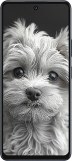 Силиконовый чехол Мальтипу на чорном фоне для Infinix Hot 50 5G - 6156u-3795 изображение 