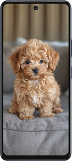 Силіконовий чехол Mini-maltipoo для Infinix Hot 50 5G - 6158u-3795 изображение 